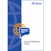 Content Marketing Studie 2013, TBN Public Relations GmbH