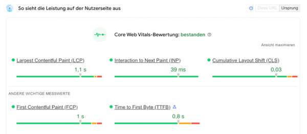 Screenshot einer guten Core Web Vitals-Bewertung auf PageSpeed Insights