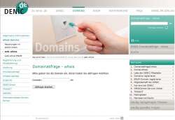 Domainstrategie Domain abfragen bei denic