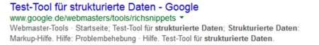 Snippet einer Seite aus den Google-Ergebnissen